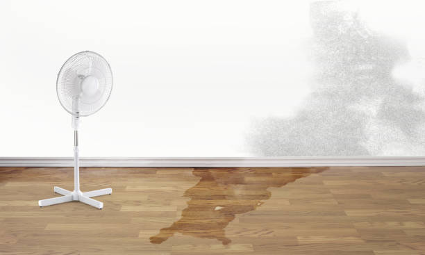 Best Fire Damage Restoration  in Mcconnellsburg, PA