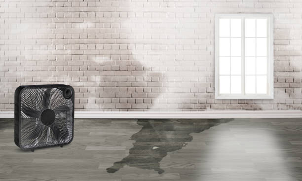 Best Water damage restoration near me  in Mcconnellsburg, PA