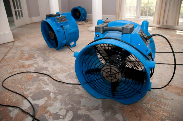Best Fire Damage Restoration  in Mcconnellsburg, PA