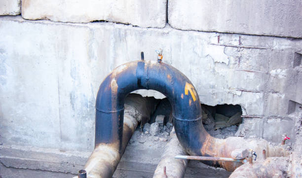 Best Carpet water damage restoration  in Mcconnellsburg, PA