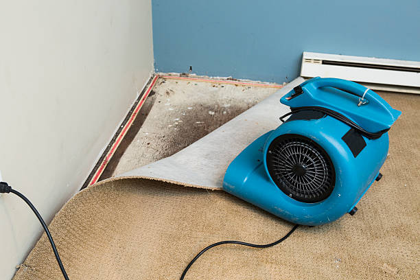 Trusted Mcconnellsburg, PA Water damage restoration Experts